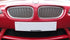 Zunsport BMW Z4 E85 / E86 Upper Grille Set Zunsport