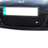 Zunsport Honda S2000 - Centre Grille