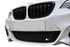 Zunsport BMW 2-Series (M235i,M240i,M-Sport) - Lower Grille